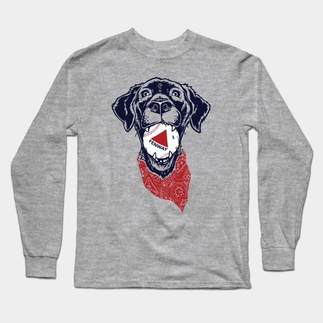 Fenway Baseball Dog Long Sleeve T-Shirt by FRGStudios2020